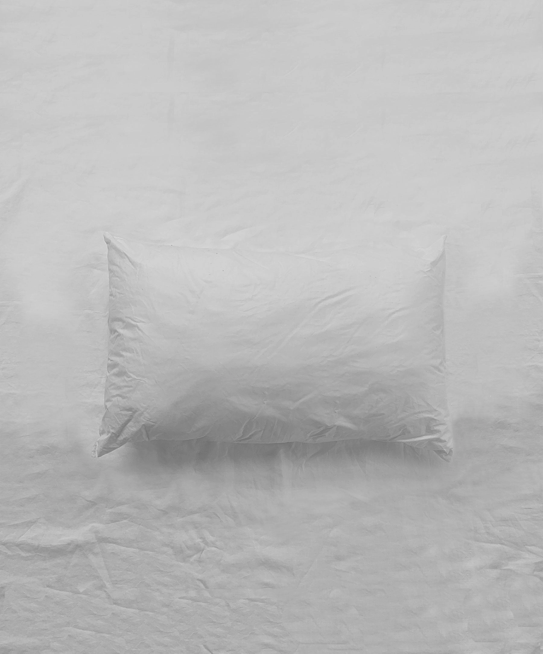 Cushion Insert Rectangular