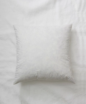 Cushion Insert Square
