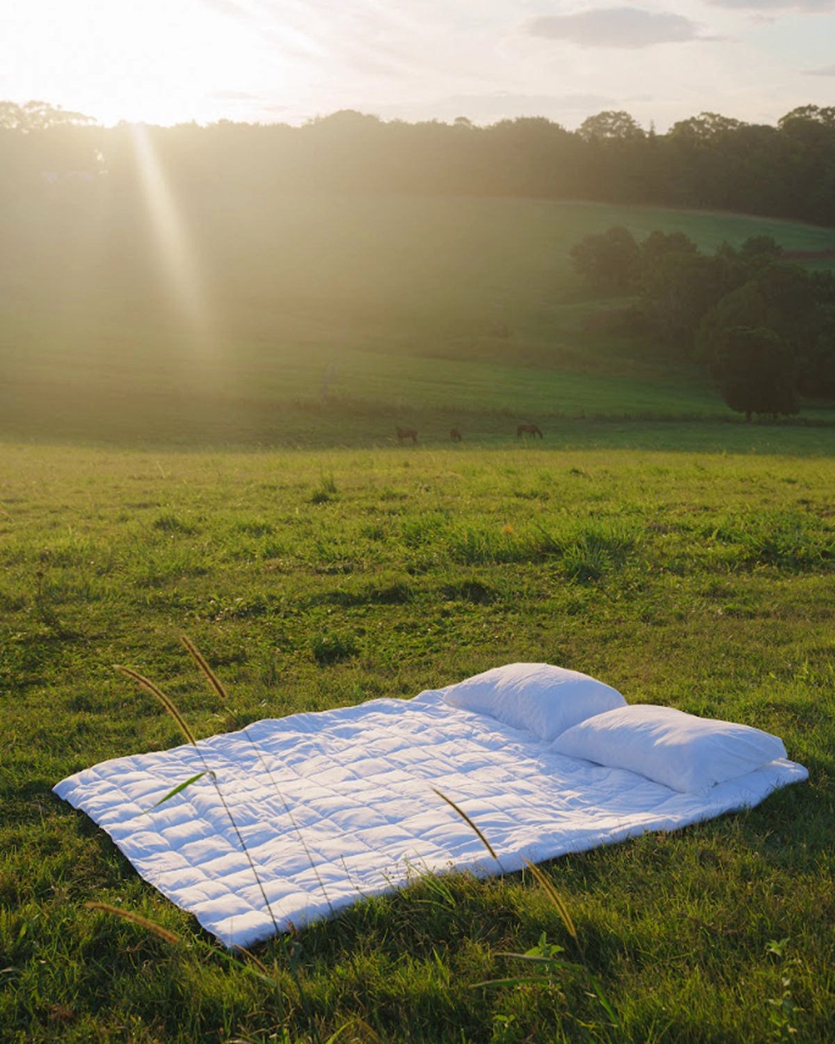 Does-It-All Duvet Insert