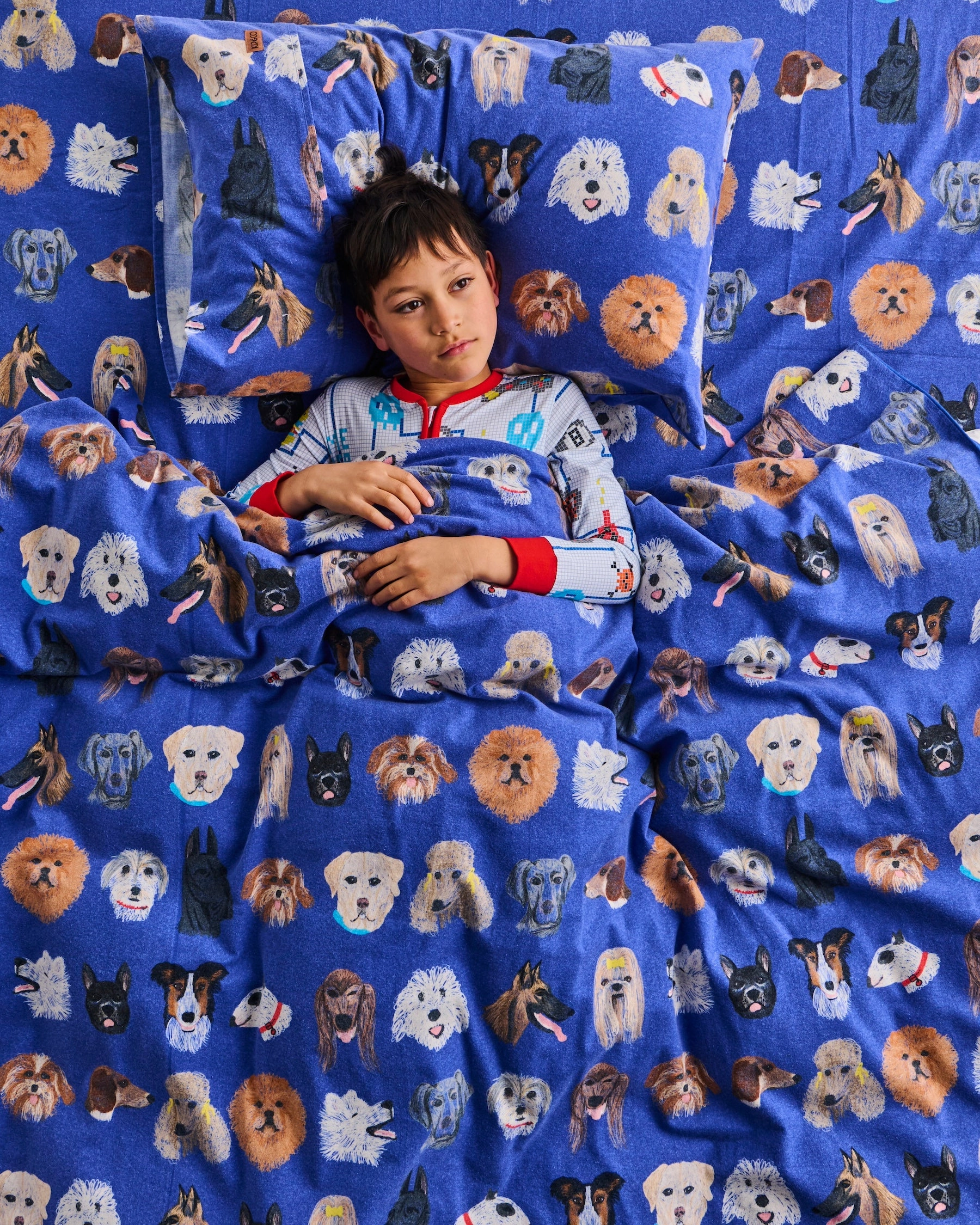 Dog Park Blue Flannelette Quilt Cover