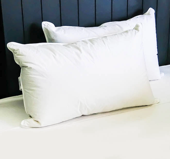 Duck 80 Down and 20 Feather Standard Pillow