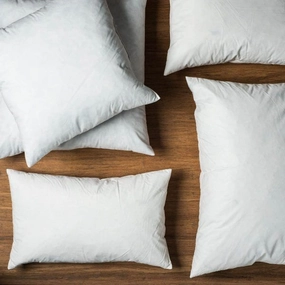 Feather Blend Cushion Insert 60 X60Cm by Florabelle