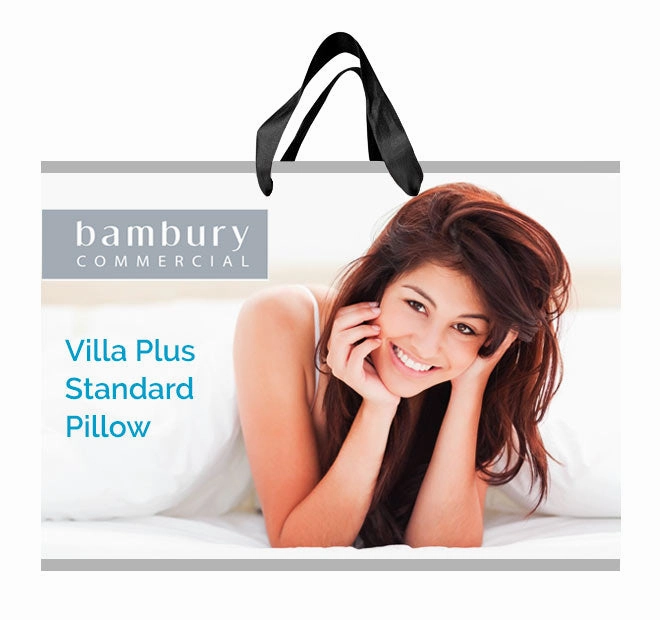Villa Plus 650g Standard Pillow